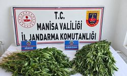 Manisa'da uyuşturucu operasyonları: 3 tutuklama