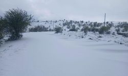 Manisa'ya mevsimin ilk karı düştü