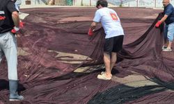 Marmara'da hayalet ağ operasyonu: 800 kiloluk atıklar güneş gözlüğüne dönüşüyor
