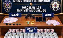 Mersin'de torbacı operasyonu: 4 tutuklama