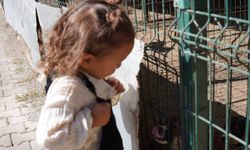 Minik öğrenciler hayvan barınağında hayvanlarla vakit geçirdi