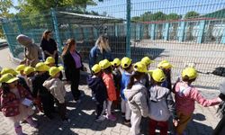 Minikler bakımevindeki hayvanlarla buluştu