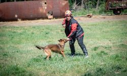 Muğla'nın arama kurtarma köpekleri Tayga ve Foxy görev yeterlilik sınavını geçti