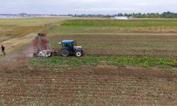 Muş ekonomisine pancardan 2 buçuk milyar TL'lik katkı