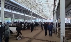 Nazilli Hayvan Pazarı'nda kaçak ve belgesiz hayvanlara geçit yok