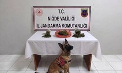 Niğde'de bir haftada 51 aranan şahıs yakalandı