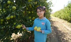 Niğde'de çocuklar tarımsal üretim süreçlerini yerinde öğreniyor