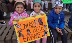 Öğrenciler barınak ziyareti yaparak hayvanları sevdi ve mama verdi