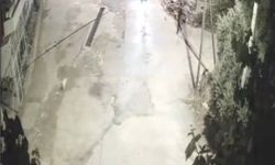 Önce motosikletle kovaladılar sonra köpeği çaldılar