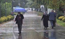 Ordu'da sağanak