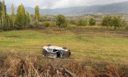 Otomobil şarampole devrildi: 2 yaralı