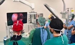 Rinoloji alanındaki güncel cerrahi yaklaşımlar Erzincan'da ele alındı