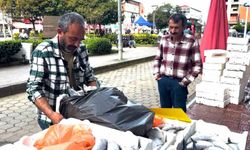 Rize'de palamutun 3 tanesi 100 TL'den satılıyor