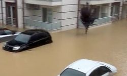 Sakarya'da dereler taştı, evleri su bastı