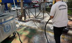 Şehzadeler'de temizlik seferberliği