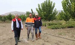 Selden etkilenen işletmelerde hasat tespiti yapıldı