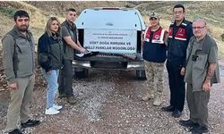 Siirt'te kaçak avcılığa geçit verilmiyor