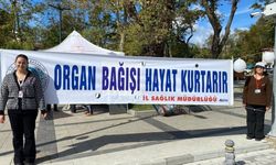 Sinop'ta meme kanseri farkındalığı