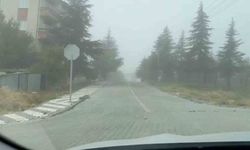 Sivrihisar'da yoğun sis ulaşımı ve günlük yaşamı olumsuz etkiliyor