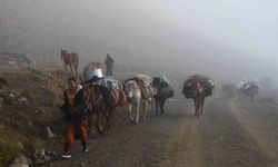 Soğuk etkisini gösterdi, Şırnak'ta göçerler yayladan ayrılmaya başladı