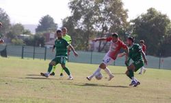 TFF 2. Lig: 12 Bingölspor: 2 - Kahramanmaraş İstiklalspor: 1