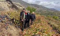 Üzümlü Kaymakamı Hökelekli üzüm bağında incelemelerde bulundu