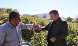 Vali Aydoğdu, üzüm hasadı yapan üreticiyi ziyaret etti
