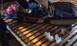 Valizdeki kazaktan 15 bin adet uyuşturucu hap çıktı