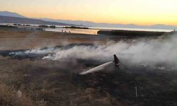 Van'da sazlık alanda yangın