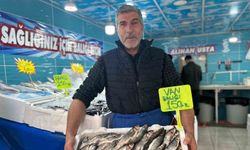 Van'da tezgahlar çeşitlendi: Tüketicinin tercihi Van Gölü'nün incisi oldu
