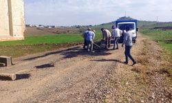 Vatandaşlar mahalle yollarını kendi imkanlarıyla yaptı
