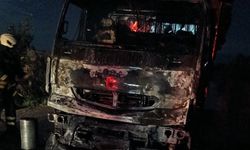 Vezirköprü'de odun yüklü kamyonda yangın çıktı