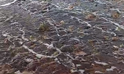 Yalova'da kırmızı renkli su denize döküldü