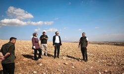 'Yeşil Silopi' için düğmeye basıldı
