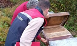 Yığılca'da ekipler sahada tek tek sayıyor