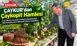 Rize’den Ekonomiye Katkı: Çay Atıkları Çaykopit Oldu