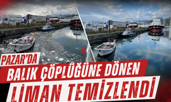 Pazar'da balık çöplüğüne dönen liman temizlendi