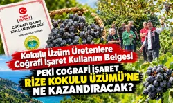 Kokulu Üzüm Üretenlere Coğrafi İşaret Kullanım Belgesi