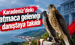 Karadeniz'deki atmaca geleneği danıştaya takıldı