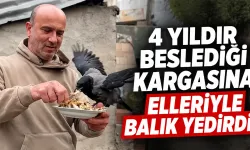 Rizeli Ömer Tek 4 yıldır beslediği kargasına elleriyle balık yedirdi