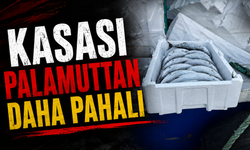 Strafor köpük kasasının fiyatı palamuttan 3 kat pahalı