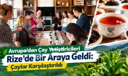 Avrupa Çay Yetiştiricileri Rize’de Bir Araya Geldi