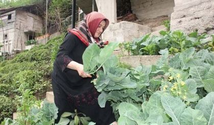 Doğu Karadeniz insanının vazgeçilmesi kara lahana iftarların da vazgeçilmezi