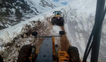 Rize'de kardan kapalı yayla yolları açılıyor