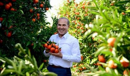 Başkan Sözlü, mandalina için kameralar karşısına geçti