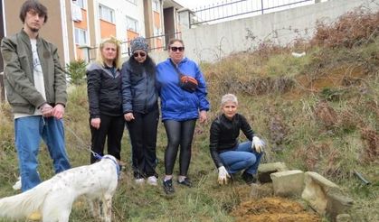 Trabzon’da esrarengiz hayvan ölümlerinde zehirleme iddiası