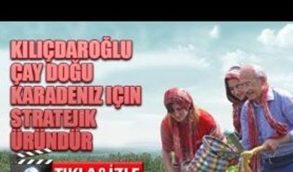 CHP Genel Başkanı Kılıçdaroğlu ''Çay stratejik bir üründür''