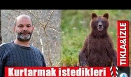 Kurtarmak istedikleri ayıya yem oluyorlardı