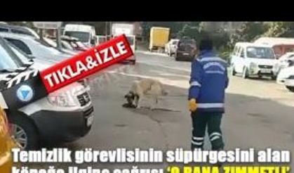 Süpürgesini kaçıran sokak köpeğine 'o bana zimmetli' diye seslendi