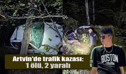 Artvin’de trafik kazası: 1 ölü, 2 yaralı